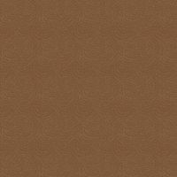 dsSTELLA-DRR2293 Toffee